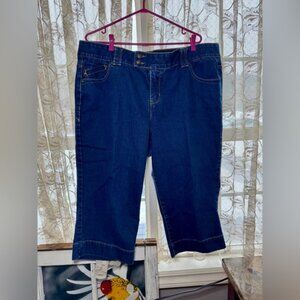 Lane Bryant Blue Ankle Cropped Jeans